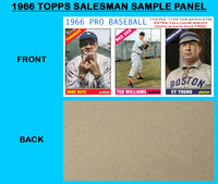 Ruth Young Williams 1966 Topps Salesman Sample Panel Custom Card - 4715