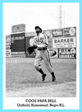 Cool Papa Bell 1947 Tip Top Bread Custom Card - 3810