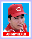Johnny Bench 1948 Leaf Custom Card - 3884