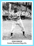 Josh Gibson 1947 Tip Top Bread Custom Card - 3824