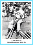 Josh Gibson 1947 Tip Top Bread Custom Card - 3825