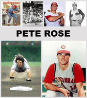 Pete Rose Baseball Cards Collectibles Custom Made Album Binder 3 Sizes - 3615