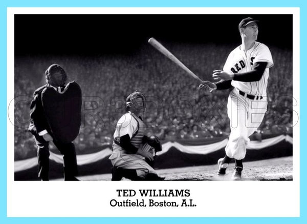 Ted Williams 1947 Tip Top Bread Custom Card - 3853