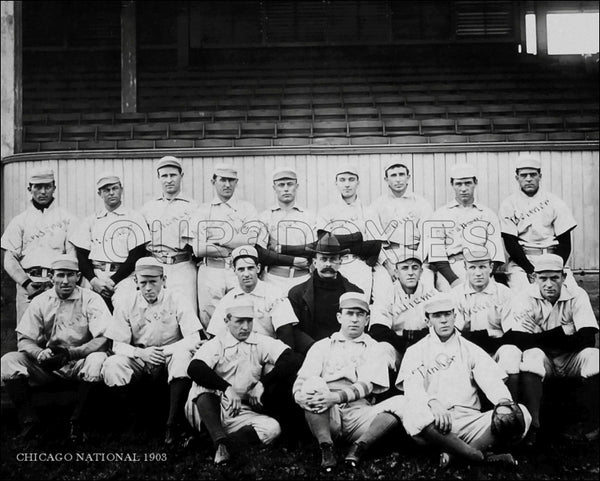 1903 Chicago Cubs 8X10 Photo - Tinker Evers Chance - 1156