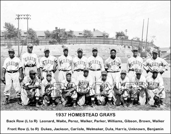 1937 Homestead Grays 11X14 Photo - Gibson Dandridge Leonard Day - 1230