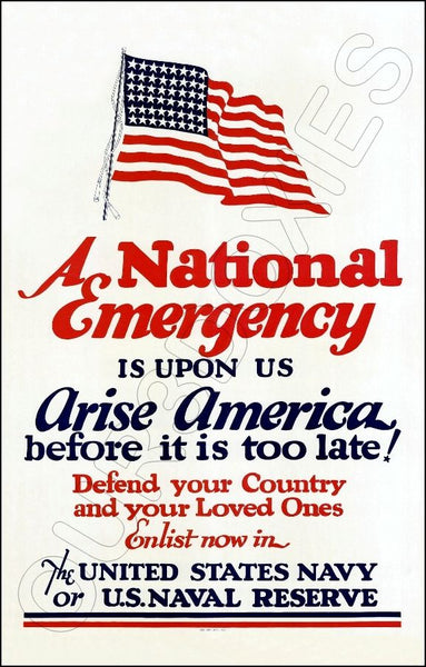 1942 WWII Poster 11X17 - A National Emergency - 3100