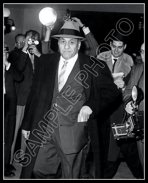 1959 Tony Accardo 8X10 Photo - 2624