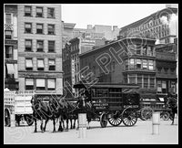 Budweiser Beer Wagon 8X10 Photo - New York 1908 - 2218