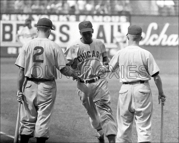 Ernie Banks 8X10 Photo - 1955 Chicago Cubs - 125