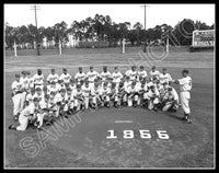 1955 Brooklyn Dodgers 11X14 Photo - Robinson Reese Spring Training - 1488