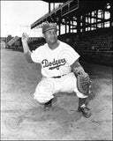 Roy Campanella 8X10 Photo - 1953/1954 Red Man Card Brooklyn Dodgers - 2404