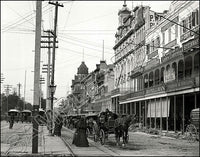 Canal Street 11X14 Photo - 1895 New Orleans Louisiana - 2453