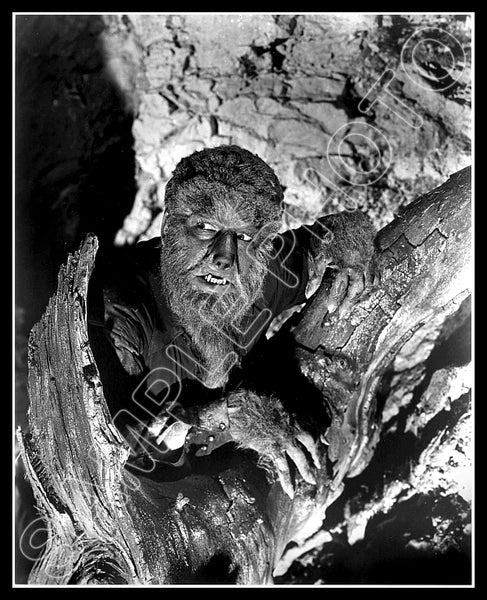 1941 Lon Chaney Jr 8X10 Photo - The Wolf Man - 3153