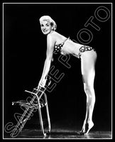 Ricki Covette 8X10 Photo - Burlesque Dancer - 2697