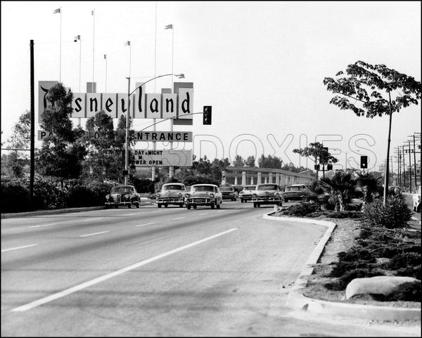 1962 Disneyland Sign Park Entrance 8X10 Photo - 38