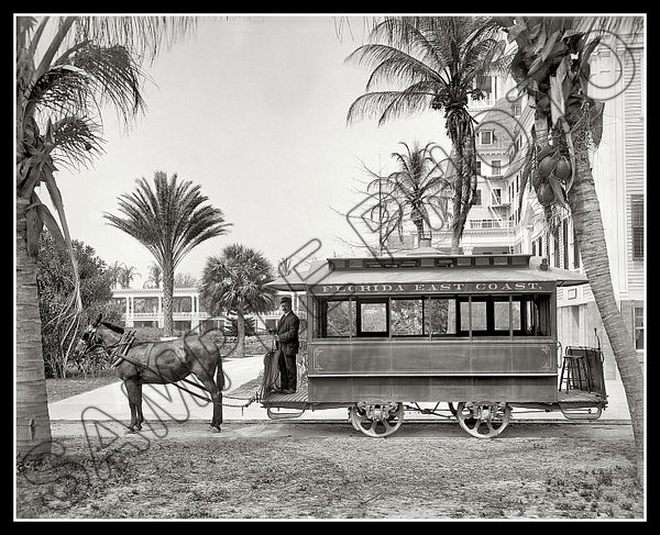 1905 Palm Beach Florida 8X10 Photo - Horse Drawn Trolley Car - 2493