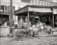 1910 French Market New Orleans Louisiana 11X14 Photo - 2498