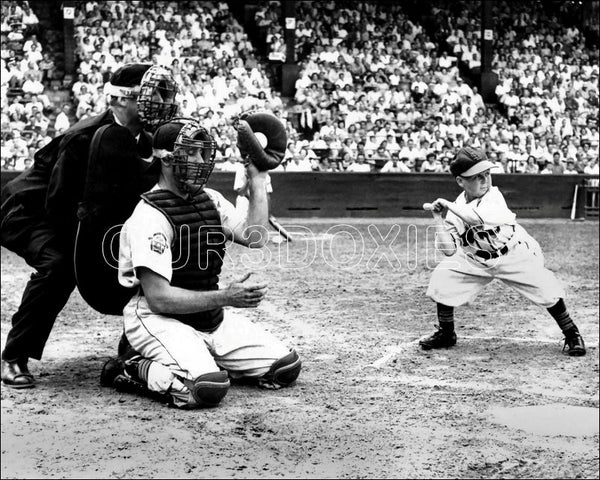 Eddie Gaedel 8X10 Photo - 1951 St. Louis Browns - 326