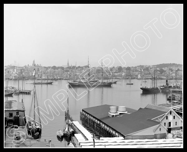 1905 Gloucester Massachusetts 8X10 Photo - Harbor - 2509