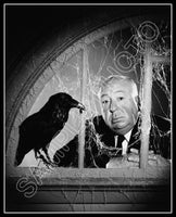 1963 Alfred Hitchcock 8X10 Photo - The Birds - 3189