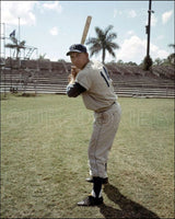 Gil Hodges 8X10 Photo - Brooklyn Dodgers - 1556