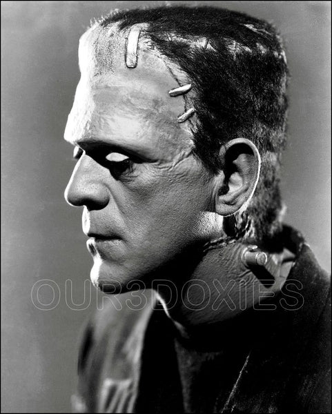 1935 Boris Karloff 8X10 Photo - Bride Of Frankenstein - 3197