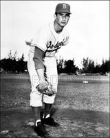 Sandy Koufax 8X10 Photo - Brooklyn Dodgers  - 950