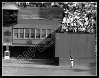 Willie Mays 11X14 Photo - 1954 World Series New York Giants The Catch - 568