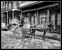 1903 New Orleans Louisiana Milk Cart 8X10 Photo - 2548