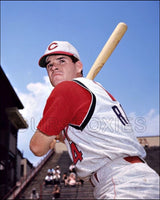 Pete Rose 8X10 Photo - Cincinnati Reds - 1381