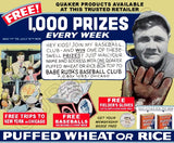 1930's Babe Ruth Quaker Oats Puffed Wheat Store Counter Standup Sign - Yankees - 748
