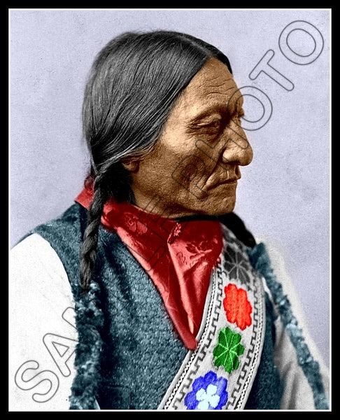 Sitting Bull Colorized 8X10 Photo - 2939