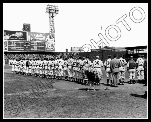 1951 Sportsman's Park 8X10 Photo - St. Louis Cardinals Browns - 1117