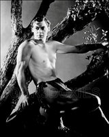 Johnny Weissmuller 8X10 Photo - Tarzan - 3287