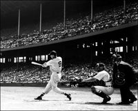 Ted Williams 8X10 Photo - Boston Red Sox - 3315