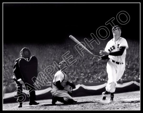 Ted Williams 11X14 Photo - Boston Red Sox - 821