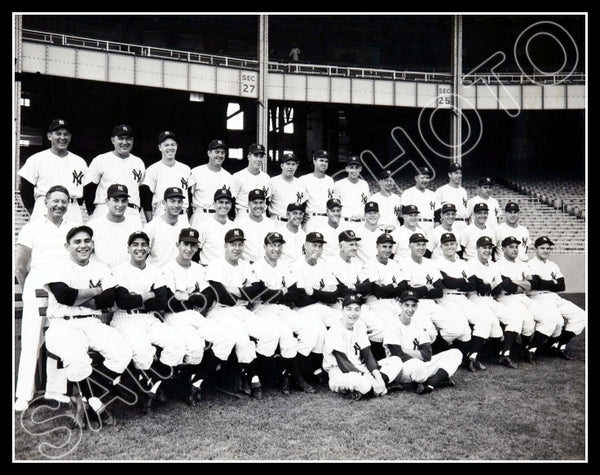 1951 New York Yankees 11X14 Photo - Mantle Dimaggio Berra - 2211